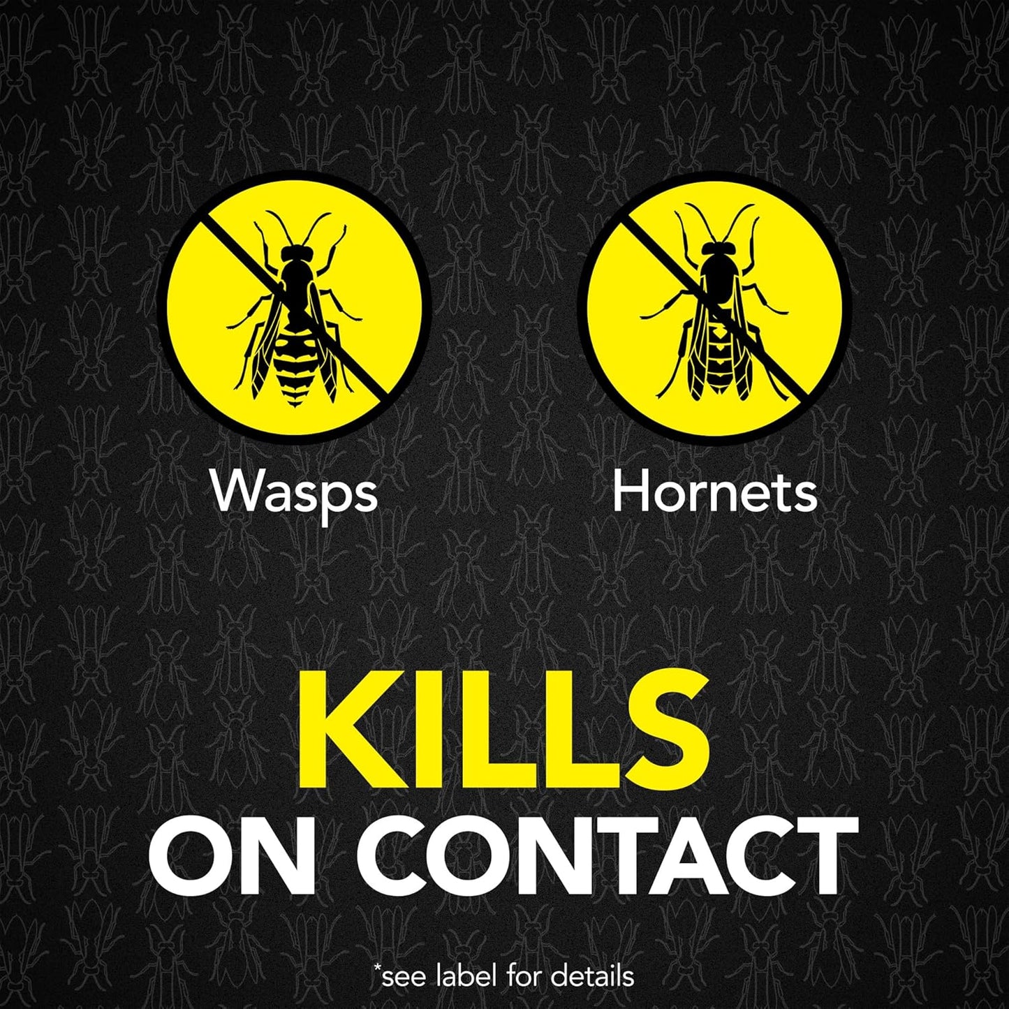 Raid Max Foaming Wasp & Hornet Killer, Fast Coverage Foam, Bug Killer Kills The Entire Nest, 16.5 oz