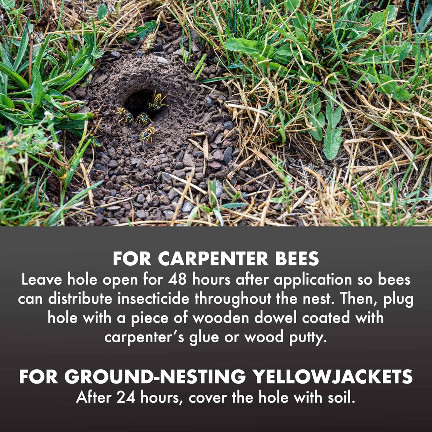 Spectracide Carpenter Bee and Ground Nesting Yellow Jacket Foaming Aerosol, 16-Ounce