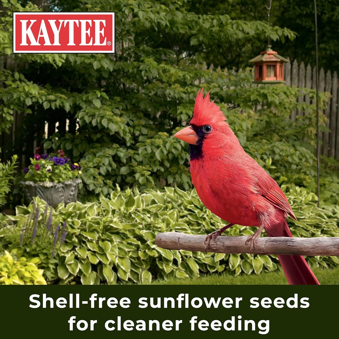 Kaytee Wild Bird (No Mess or Waste Free) Food Seed Blend For Blue Jays, Woodpeckers, Juncos, Cardinals, Grosbeaks, Sparrows, and Finches, 10 Pound, (Packaging May Vary)