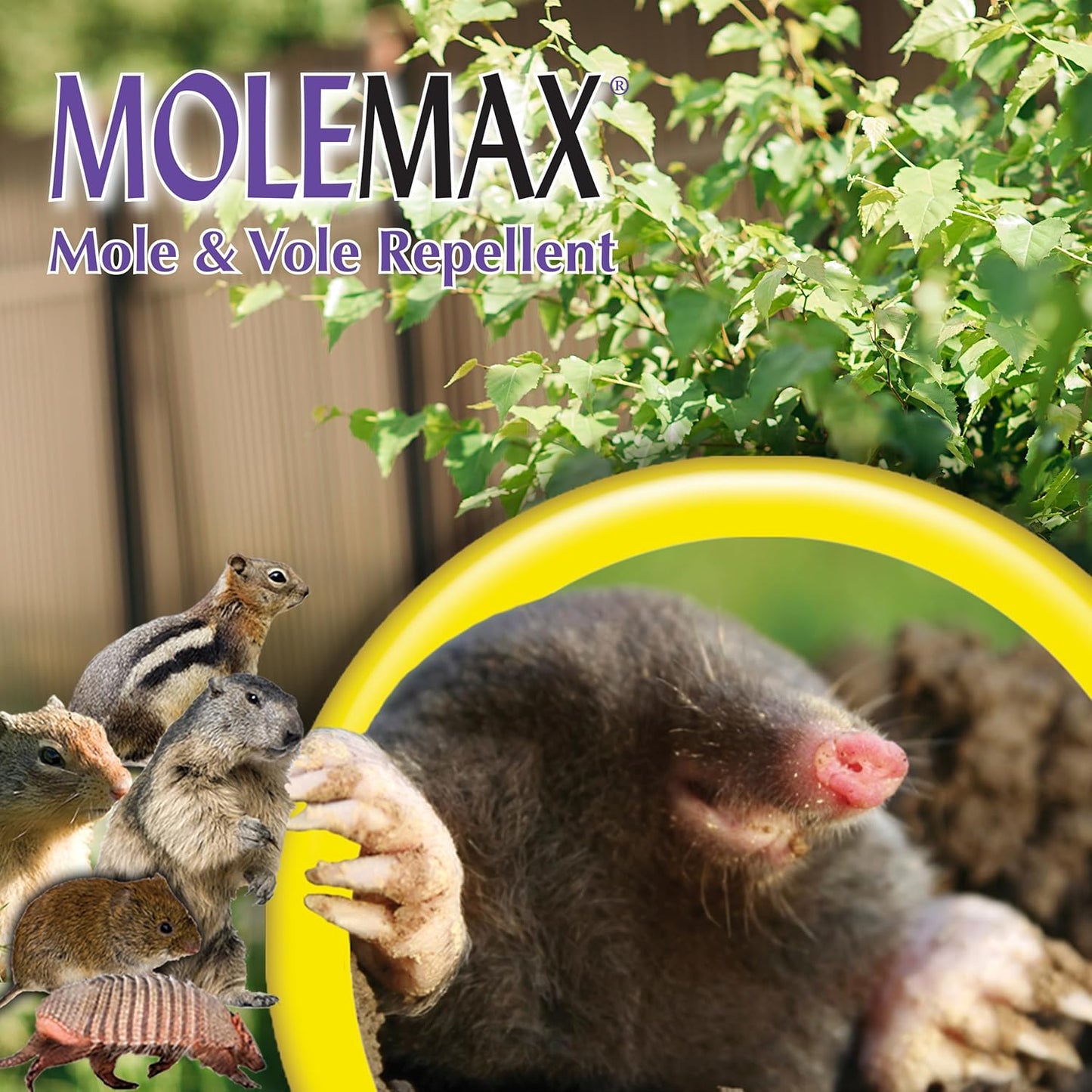 Bonide MOLEMAX Mole & Vole Repellent Granules, 10 lbs. Ready-to-Use, Outdoor Lawn & Garden Mole Control, People & Pet Safe