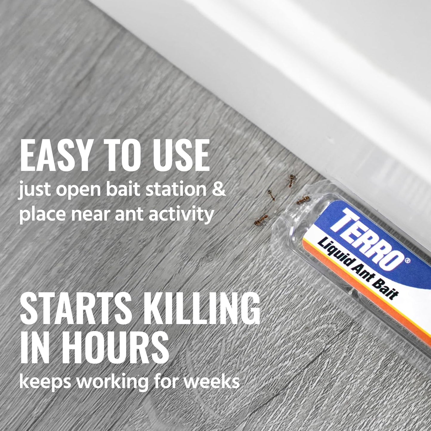 TERRO Ant Killer Bait Stations T300B - Liquid Bait to Eliminate Ants - 12 Count Stations for Effective Indoor Ant Control