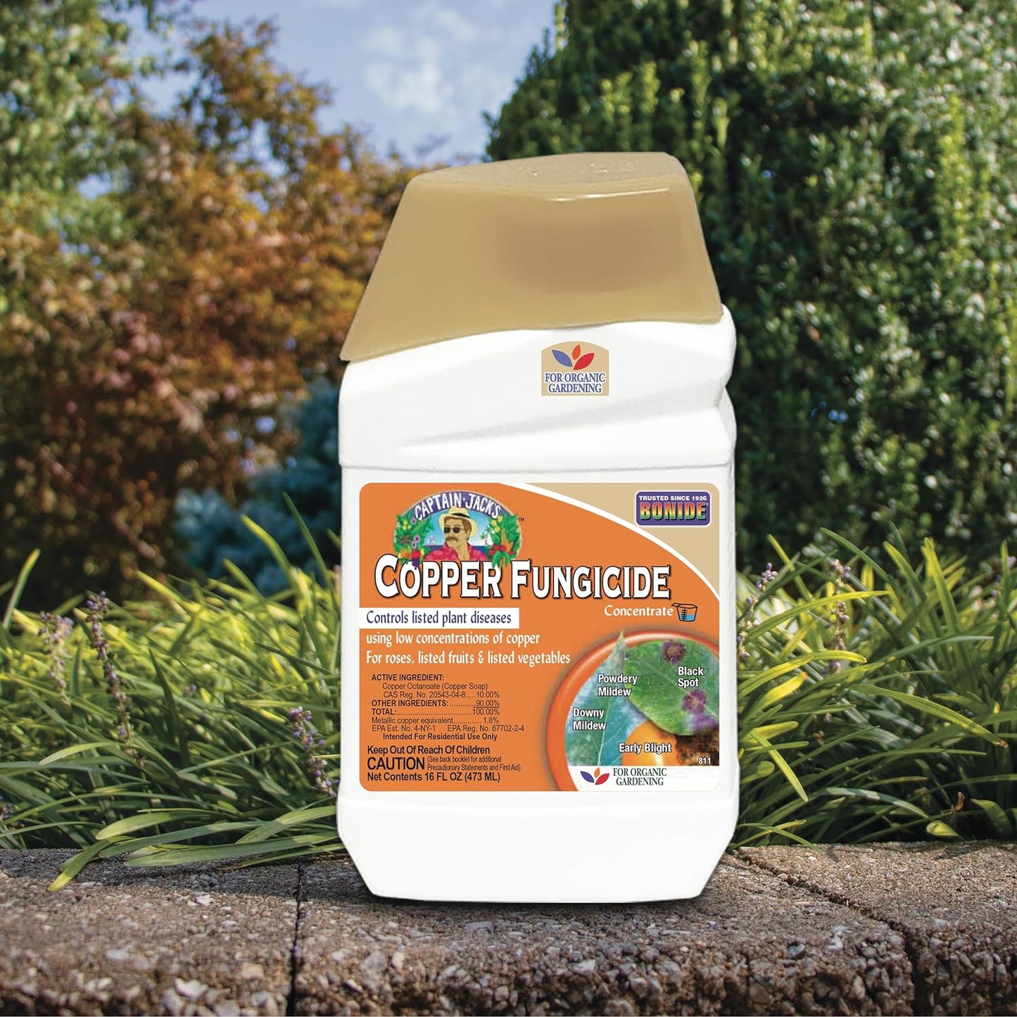 Bonide Captain Jack Copper Fungicide 16 oz Concentrated Plant Disease Control Solution for Organic Gardening