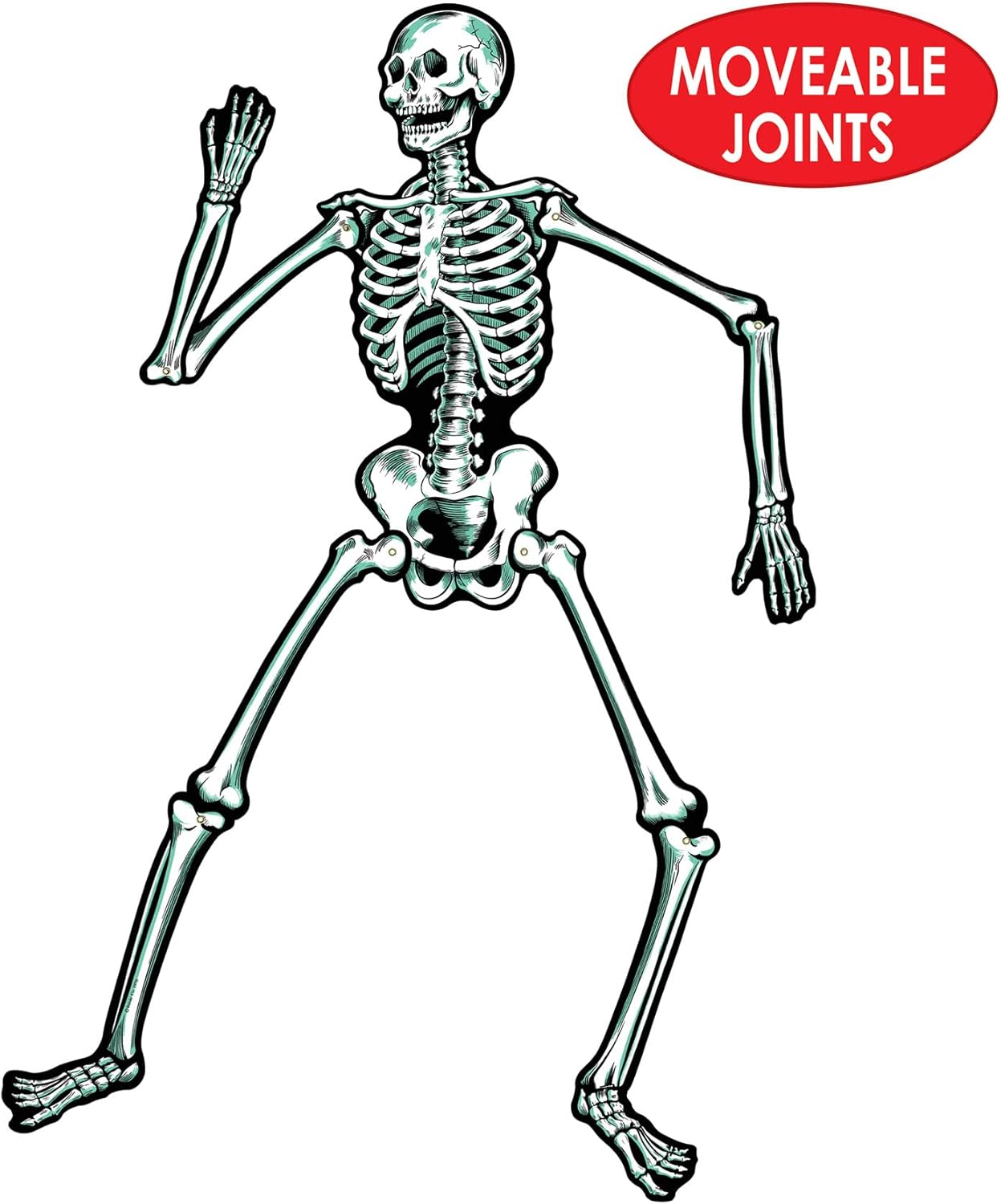 Jointed Skeletons - 22"