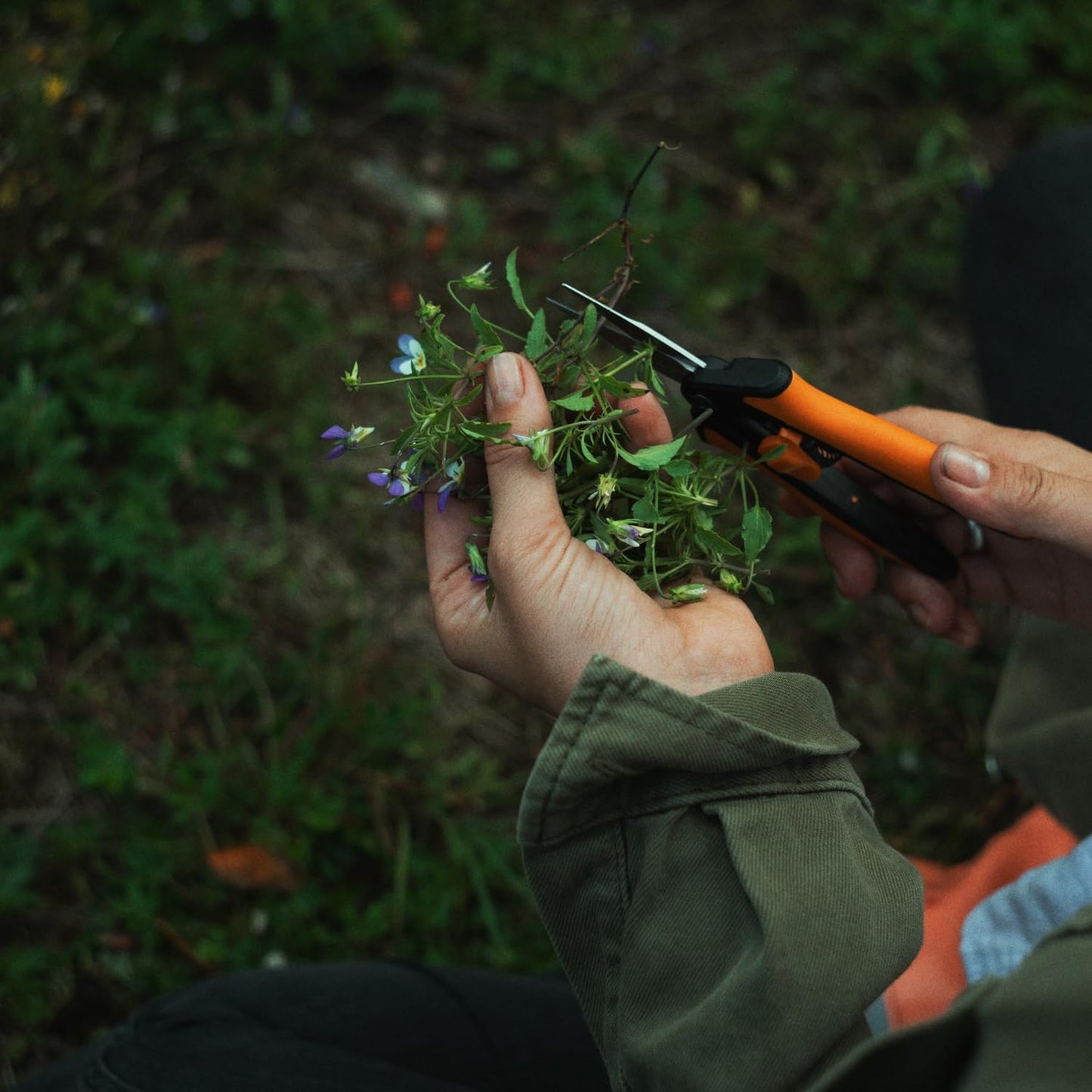 Fiskars Micro-Tip Pruning Snips - 6" Garden Shears with Sheath and Comfort Grip - Sharp Steel Blades - Quality Pruning Shears for Plants in Grow Tents and Hydroponics - Garden Tools - Cart Shape