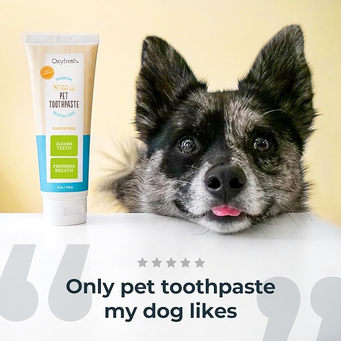 Oxyfresh Premium Dog & Cat Dental Gel Toothpaste - Best Teeth Cleaning Gel Helps Fight Plaque, Tartar and Freshen Bad Dog & Cat Breath - Best Pet Dental Care Toothpaste - 4oz - Cart Shape