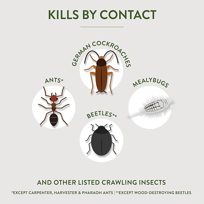 Garden Safe Brand Crawling Insect Killer Containing Diatomaceous Earth, 4 Pounds, Kills Cockroaches, Ants and Other Listed Crawling Insects by Contact, For Use Indoors & Outdoors - Cart Shape