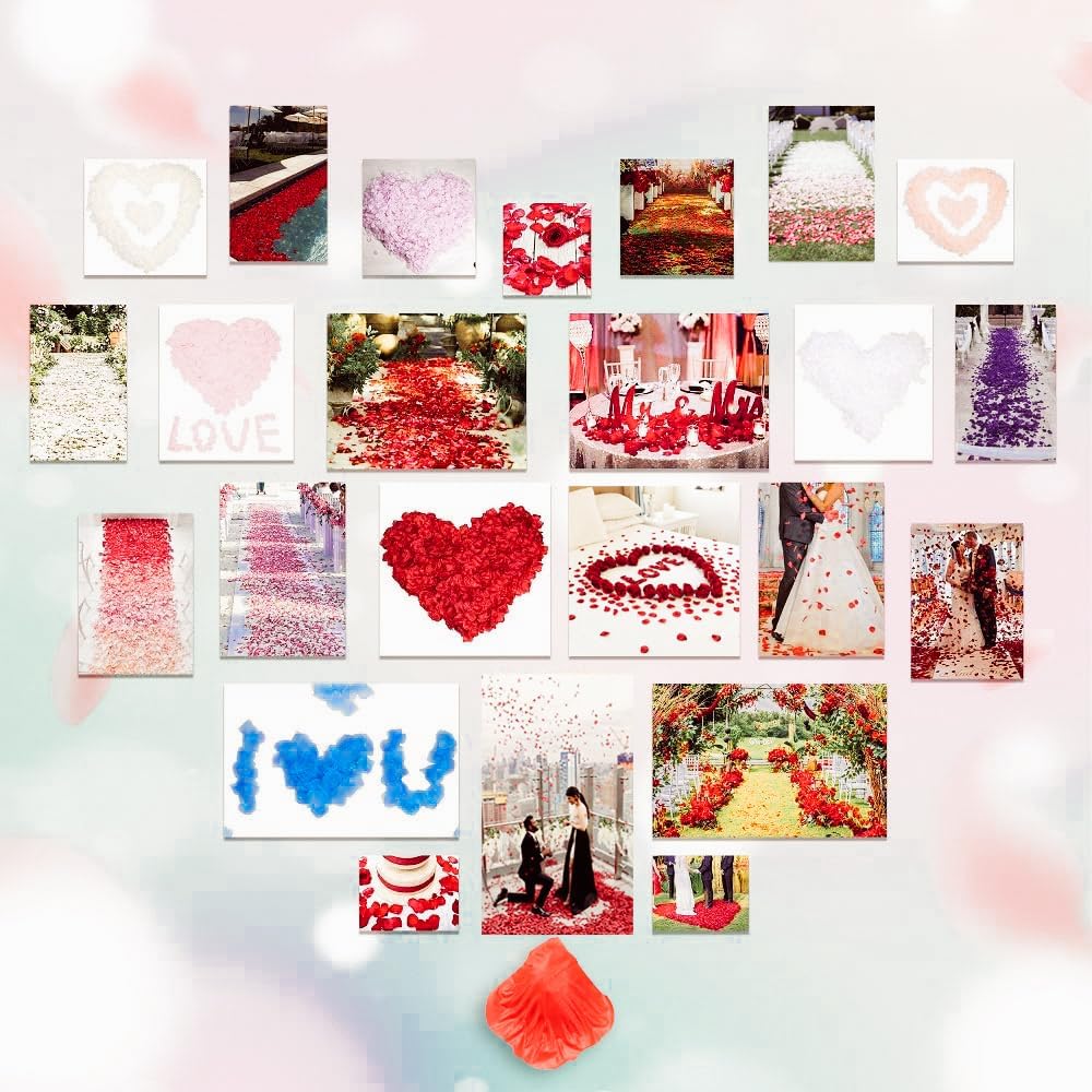 1000Pieces Rose Petals, Artificial Flower Petals Fake Rose Petals for Romantic Night,Wedding,Proposal Anniversary Flower Decorations (Big Red Dot Black)