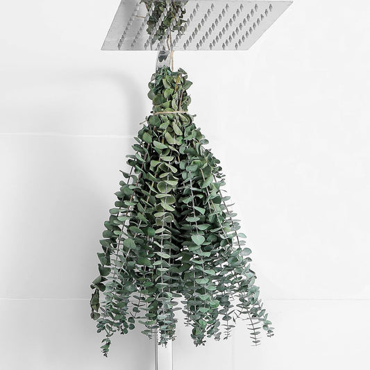 10 Pcs Dried Eucalyptus Stems 17" Real Eucalyptus for Shower Hanging 100% Made from Fresh Leaves, Wedding, Home, Farmhouse, DIY Spring Decor Bathroom Decor Home Decor