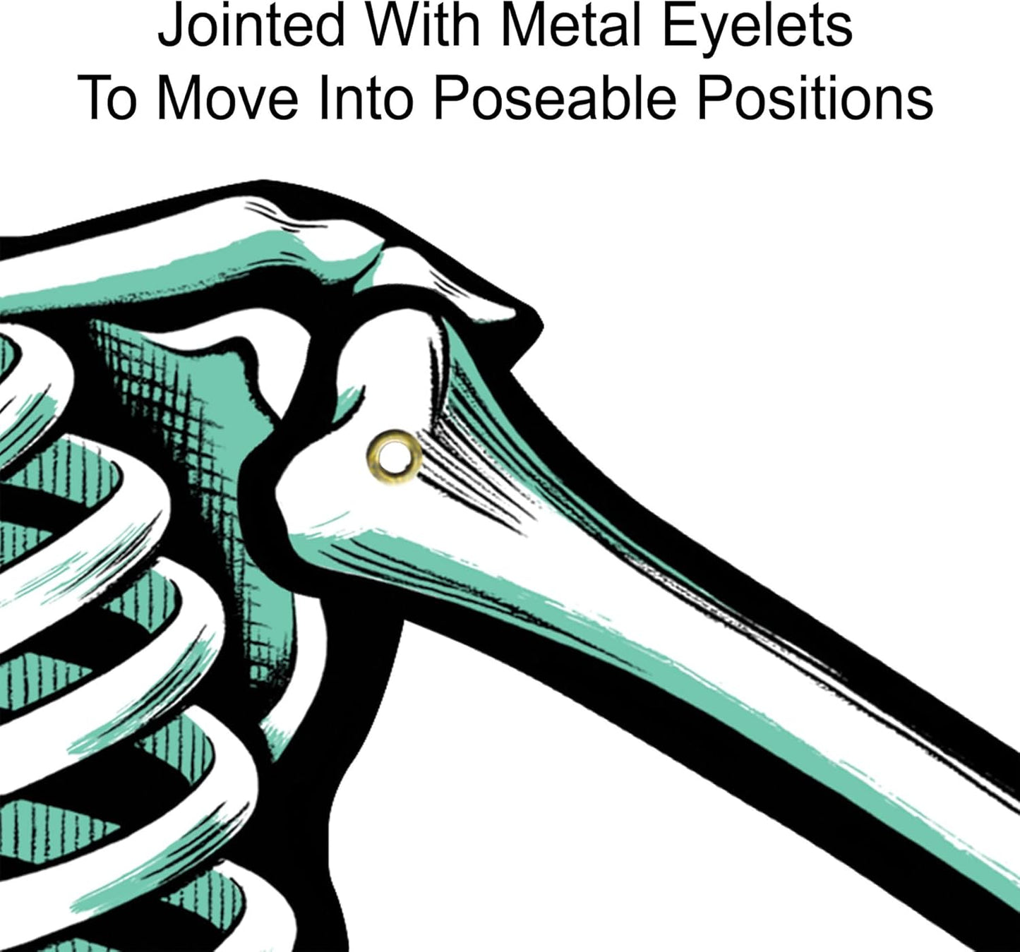 Jointed Skeletons - 22"