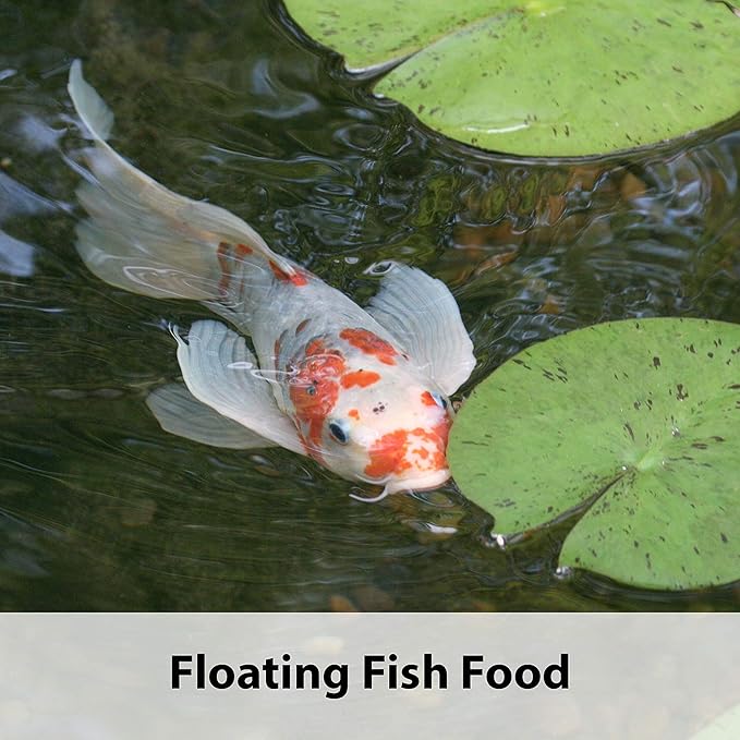 Kaytee Koi's Choice Koi Floating Fish Food, 10 Pound