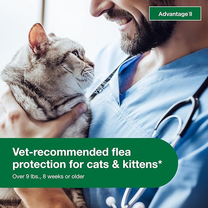 Advantage II Large Cat Vet-Recommended Flea Treatment & Prevention | Cats Over 9 lbs. | 1-Month Supply