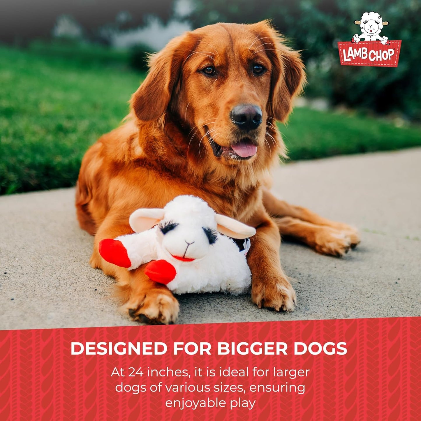 Multipet Lamb Chop Dog Plush Toy - Squeaky Toy for All Dogs - Extra Soft Plush - Stuffed Animal Dog Toy for Cuddling & Playing - Jumbo Pet Toy (24", Cream)