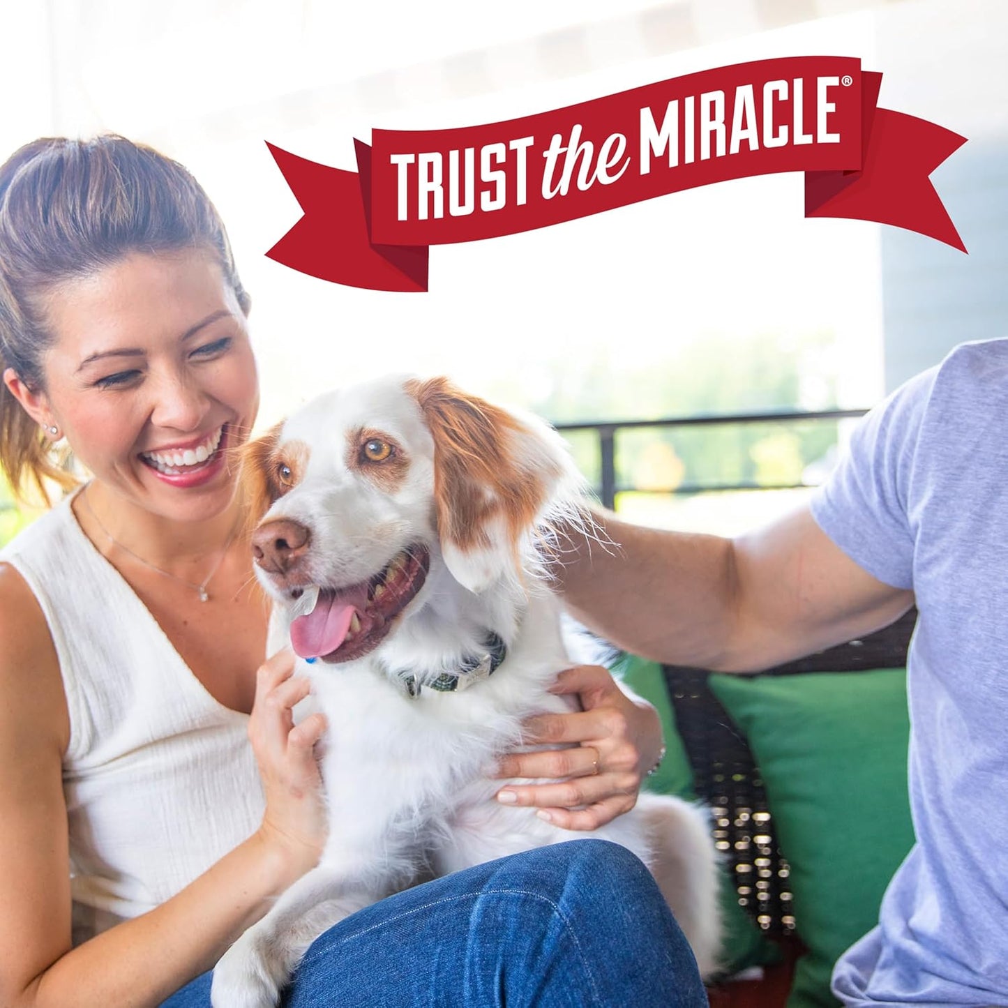 Nature’s Miracle Stain and Odor Remover Dog, Odor Control Formula, 32 oz
