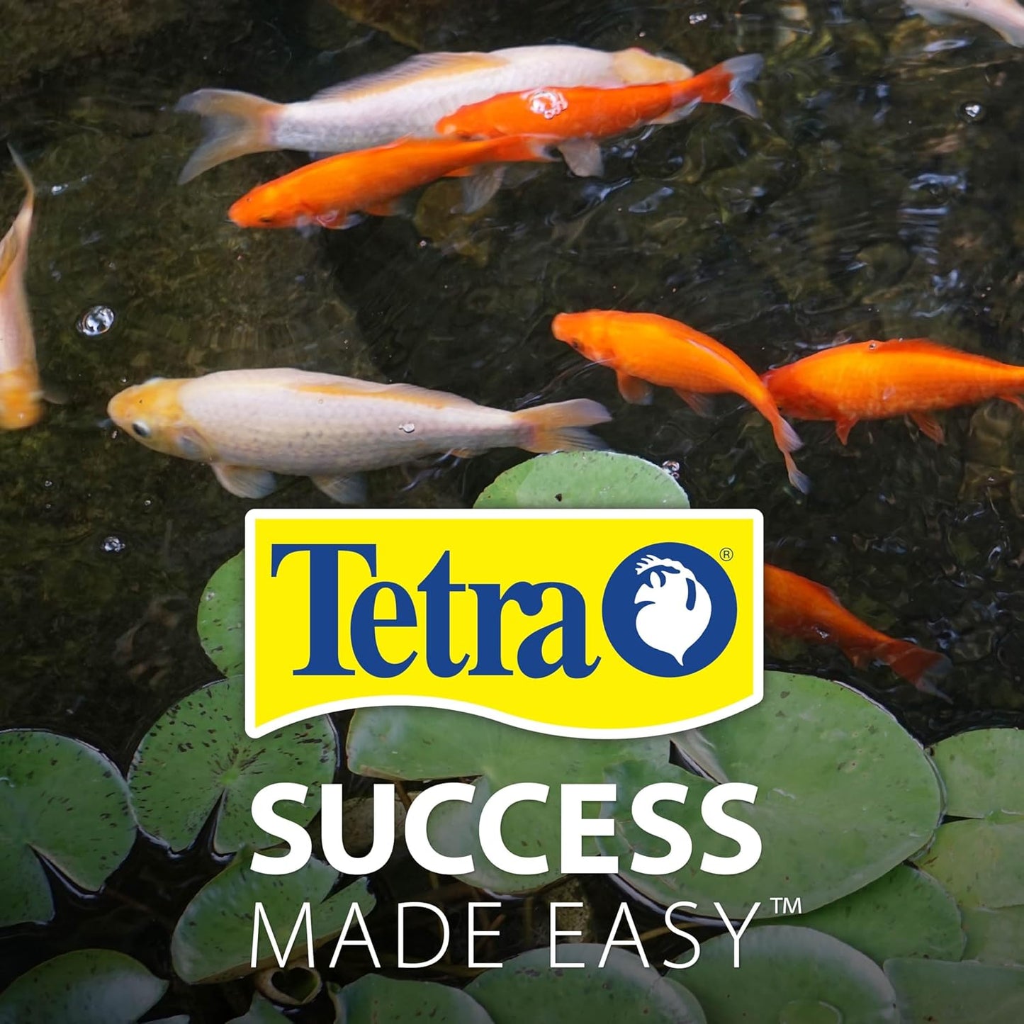 TetraPond Koi Vibrance Soft Sticks, Floating Pond Fish Food for Koi Fish and Ornamental Goldfish, 2.42 Pounds