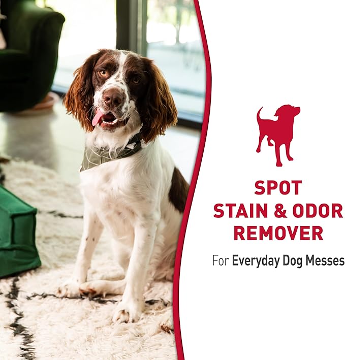 Nature’s Miracle Stain and Odor Remover Dog, Odor Control Formula, 32 oz