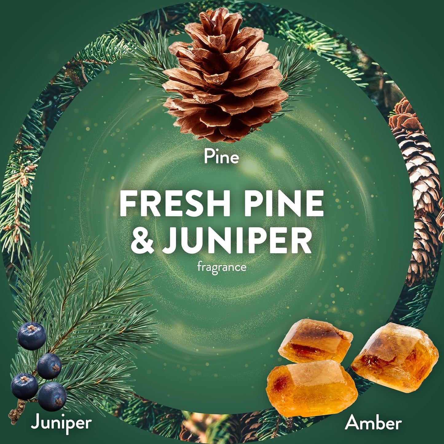 Air Wick Plug in Scented Oil Refill, 5 ct, Fresh Pine and Juniper, Air Freshener, Essential Oils, Fall Scent, Fall decor